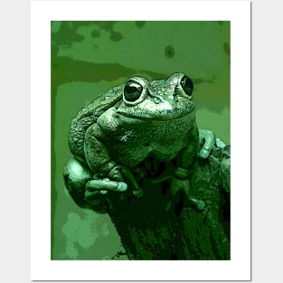 Little Green Frog Posters and Art